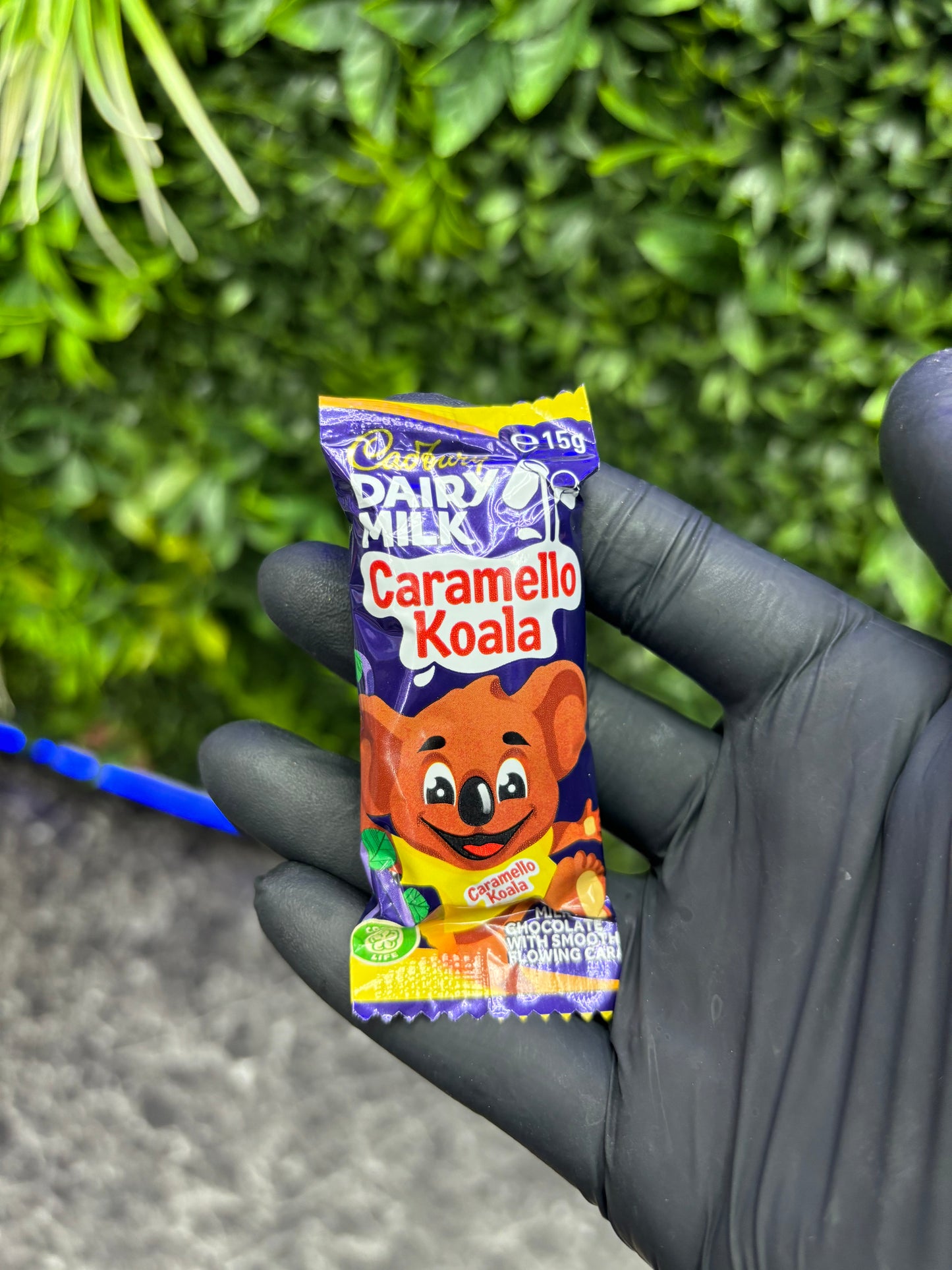 Dairy Milk Caramello Koala - Australian Import