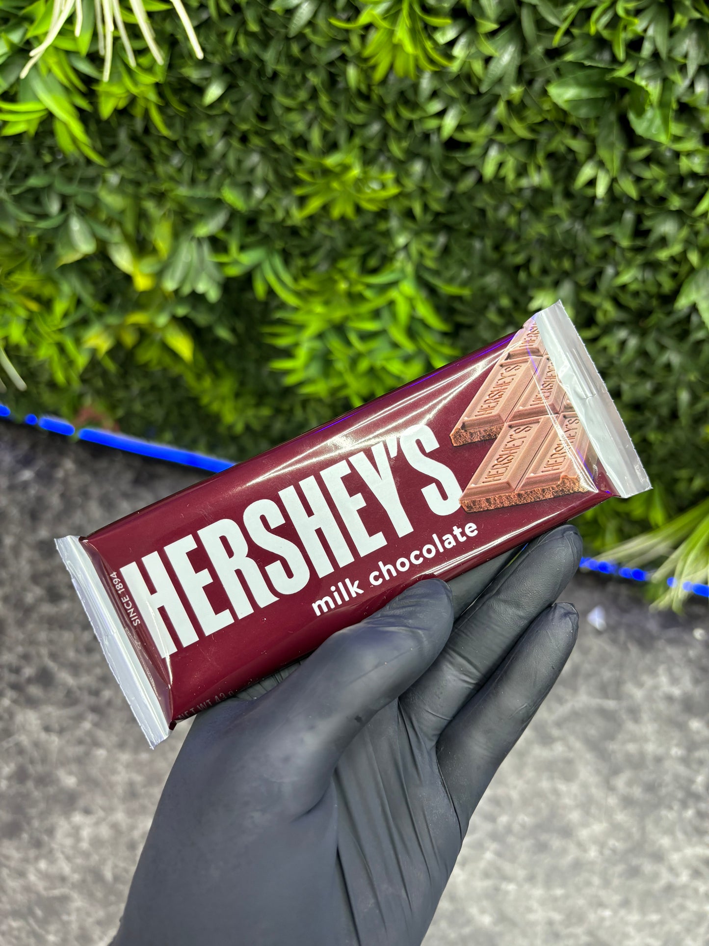 Hershey's Milk Chocolate Bar
